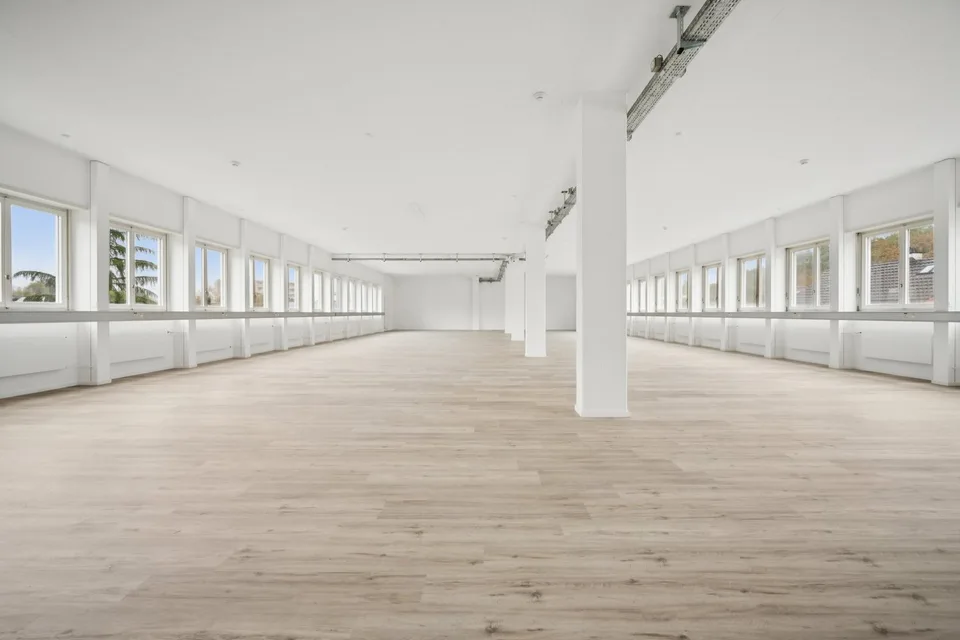 Ampio e luminoso spazio commerciale di 392 m² a Dietikon – foto 3 di 8
