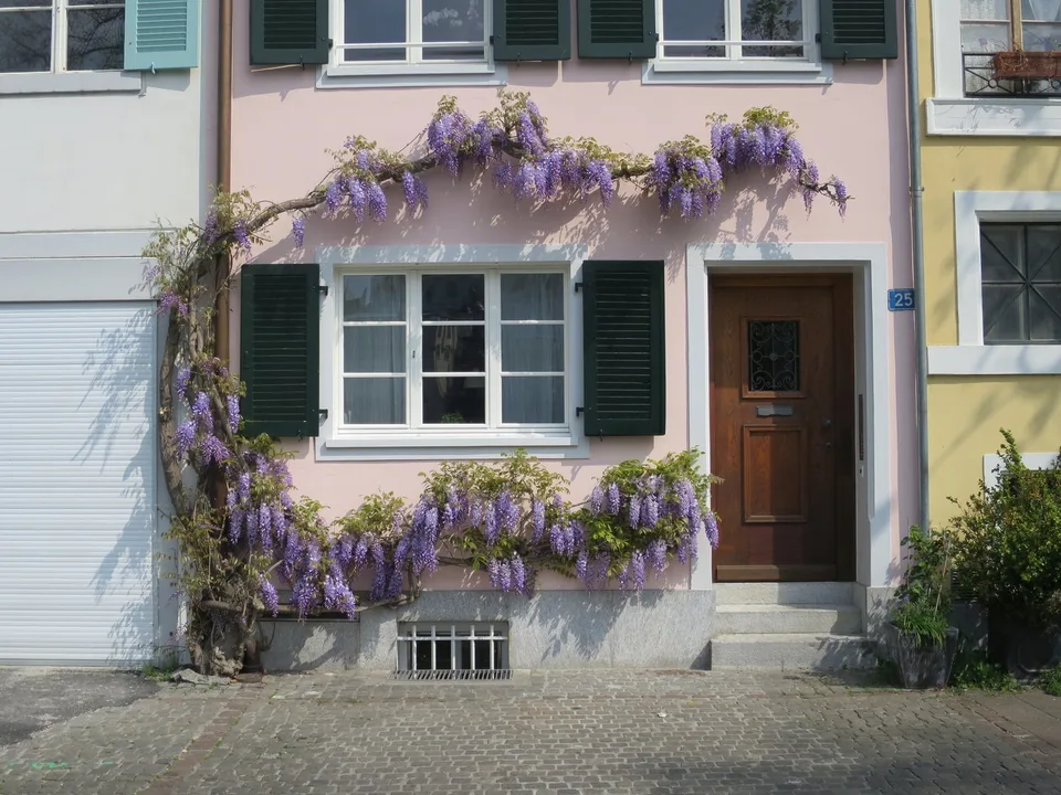 Exklusives Wohnen direkt am Rhein mit Blick auf die historische Altstadt – Foto 4 von 10