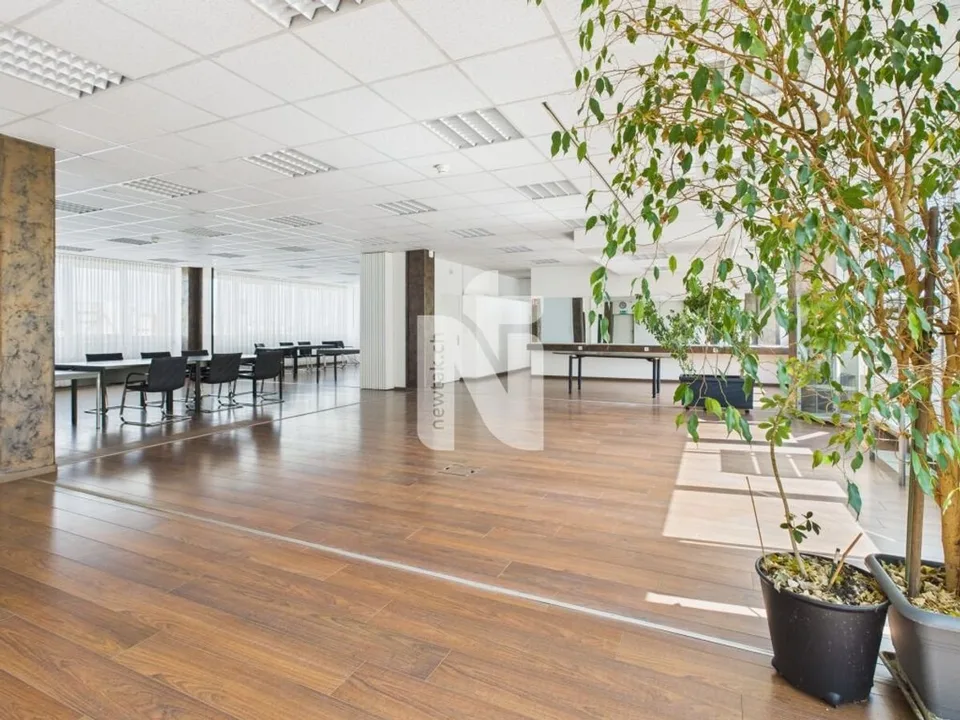 Attraktive Büroräumlichkeiten an optimaler Lage – Foto 10 von 13