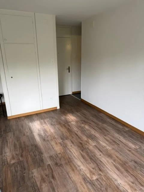 Incantevole appartamento di 2 locali arredato e ristrutturato - LA CHAUX-DE-FONDS – foto 4 di 7