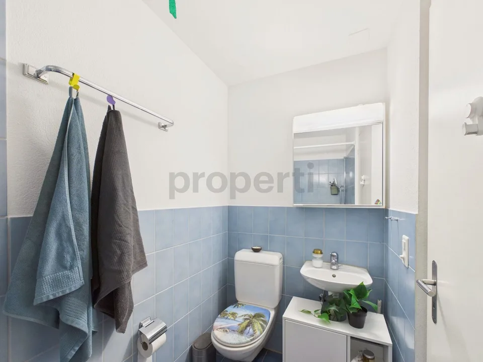 Geräumige 3.5-Zimmer-Maisonette mit attraktivem Grundriss, Winterthur – photo 9 sur 13