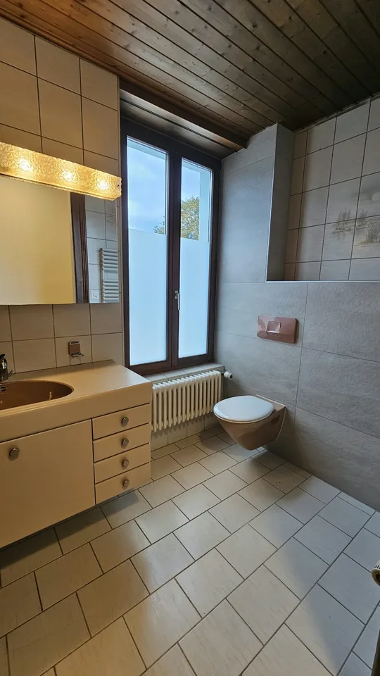 Appartamento molto grande di 3,5 locali con terrazza di 48m2 – foto 13 di 16