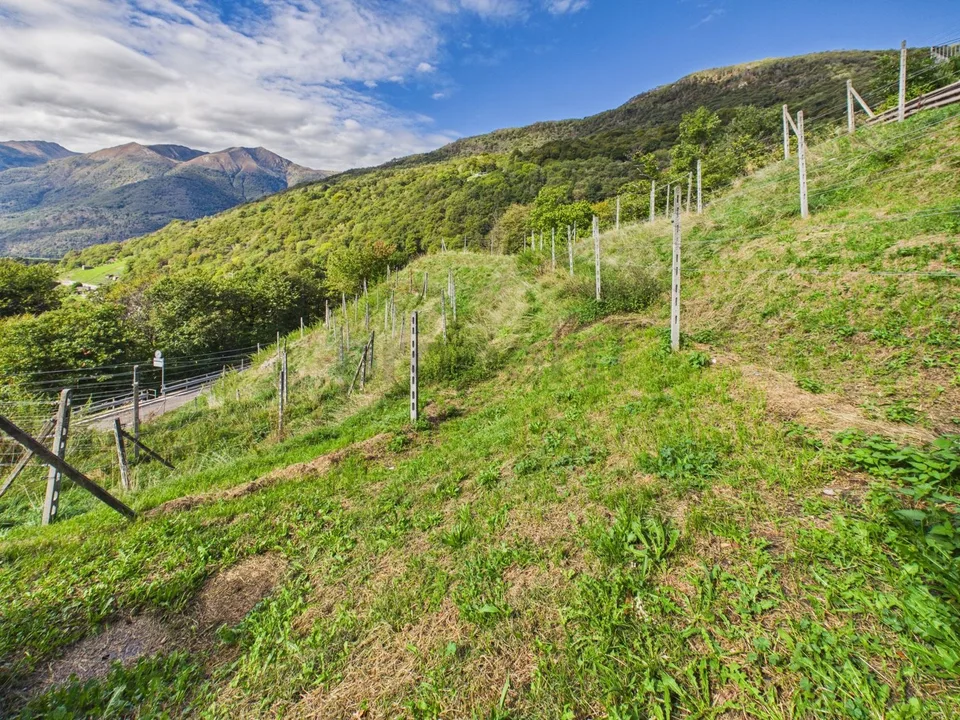 Umfangreiches bebaubares Grundstück von 1'389 m², hohes Potenzial & Panoramalage! – Foto 2 von 8
