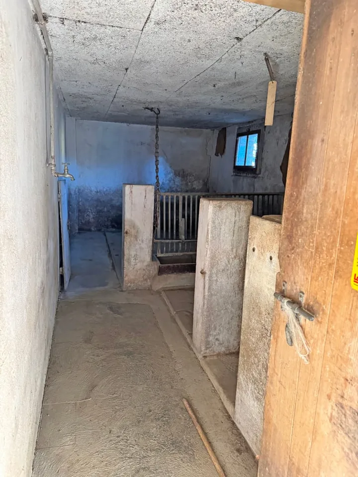 Charmant maison de ferme avec tout ce qui va avec – photo 14 sur 25