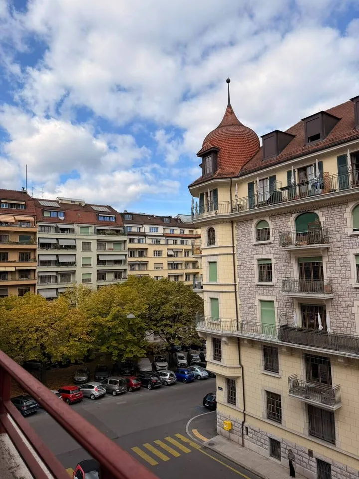 Bello appartamento di 4 locali in stile antico nel centro di Ginevra – foto 11 di 12