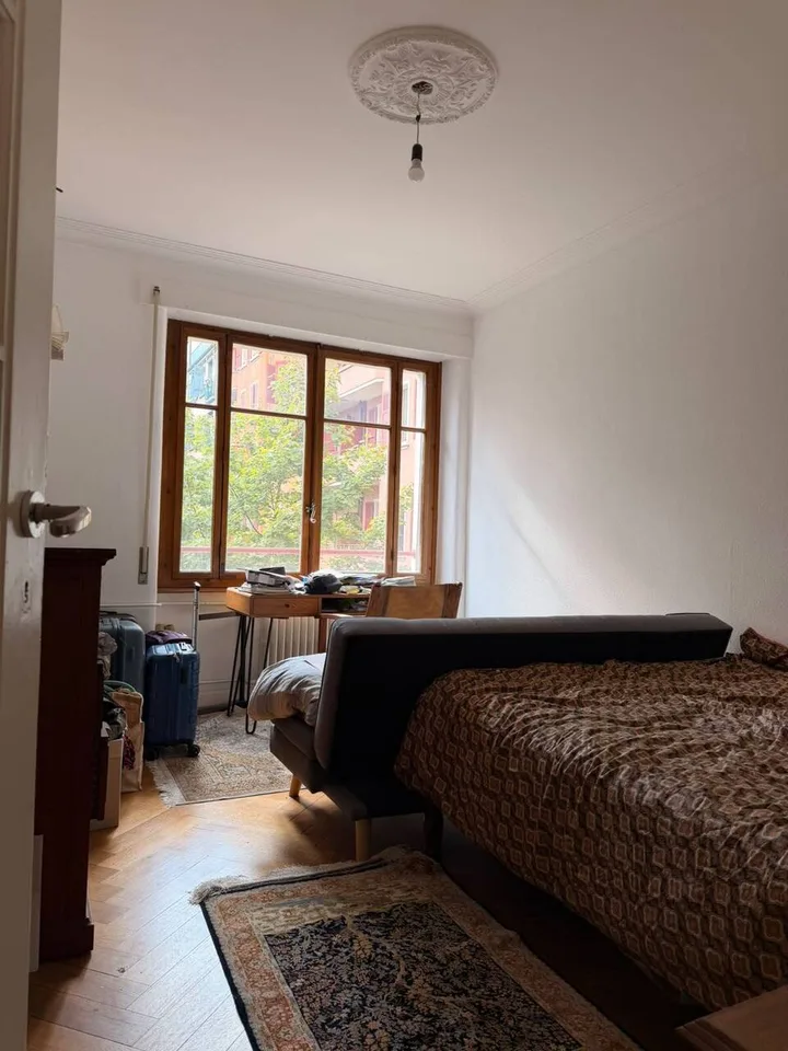 Bello appartamento di 4 locali in stile antico nel centro di Ginevra – foto 4 di 12
