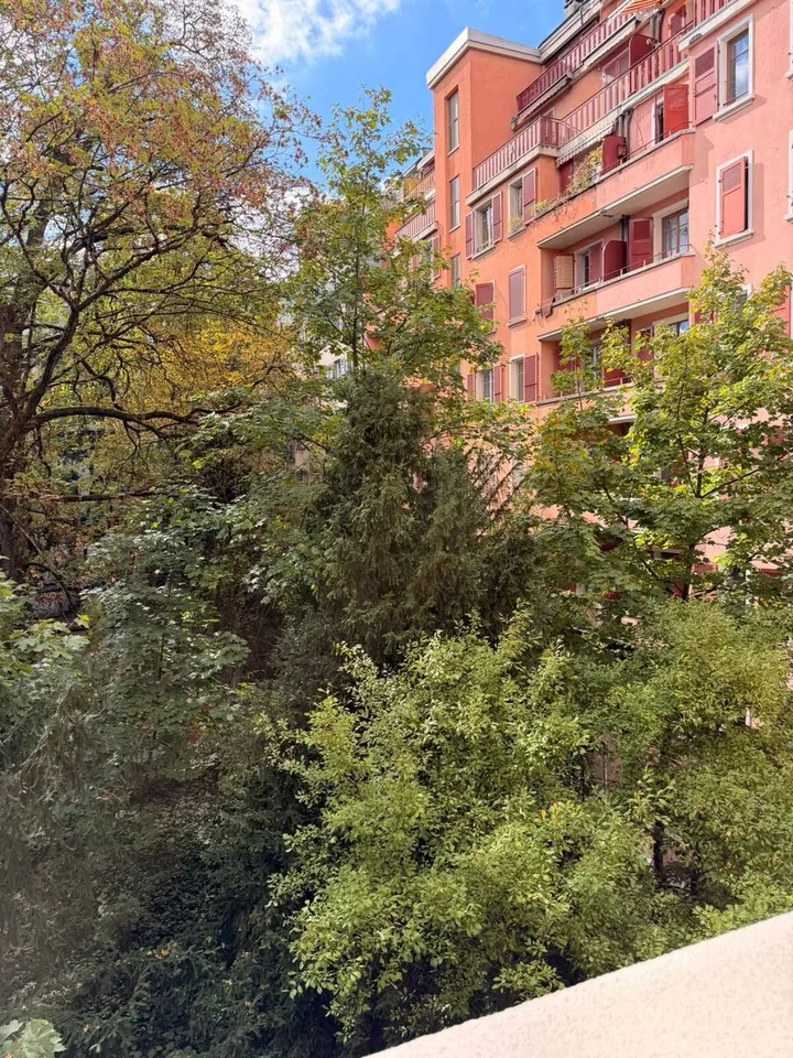 Bello appartamento di 4 locali in stile antico nel centro di Ginevra – foto 10 di 12