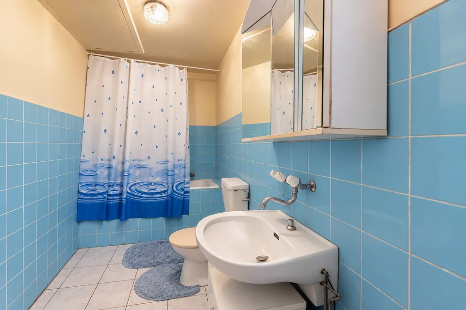 Casa di villaggio con granaio e giardino a Bex – foto 9 di 13