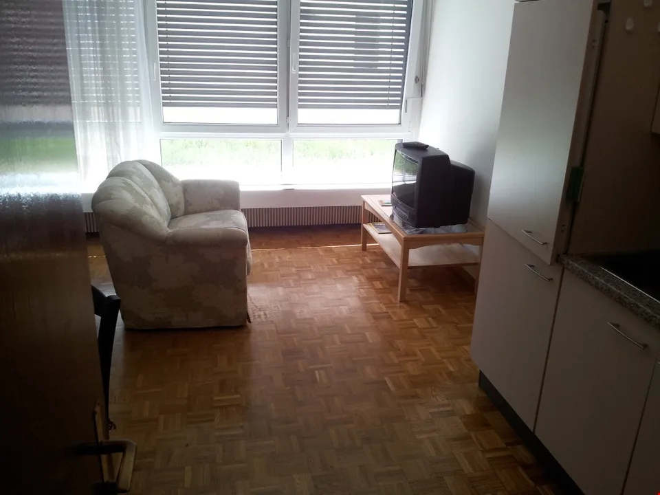 Appartamento di 2 locali a Massagno – Foto 2 von 9
