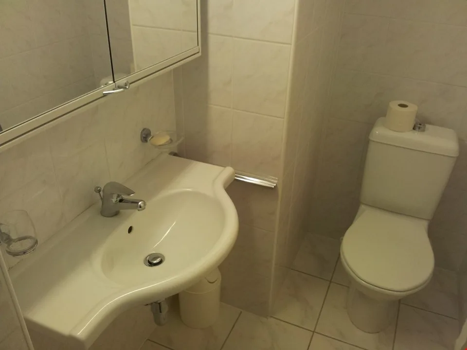 Appartamento di 2 locali a Massagno – Foto 8 von 9