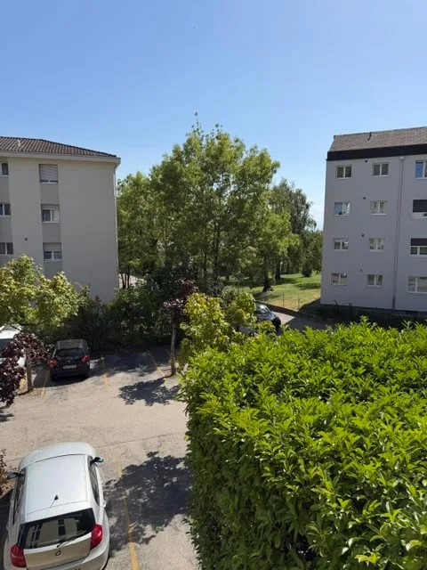 Appartamento 4.5 locali ristrutturato con balcone a CRESSIER – foto 19 di 20