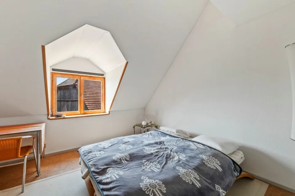 Immobilier d'équitation - une oasis pour l'homme et le cheval – photo 23 sur 30
