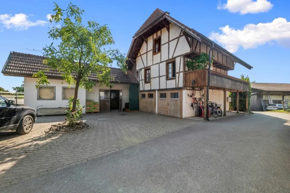 Immobilier d'équitation - une oasis pour l'homme et le cheval – photo 13 sur 30