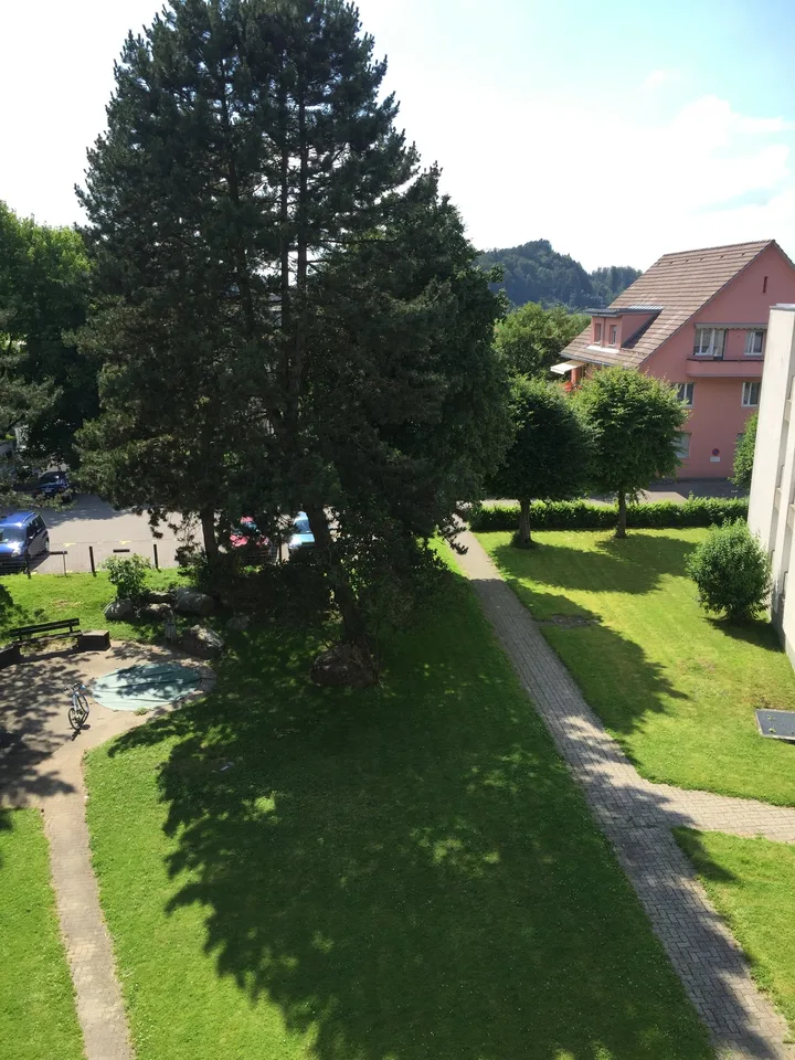 Renovierte 4.5-Zimmer-Wohnung mit Balkon und Blick ins Grüne – Foto 11 von 16
