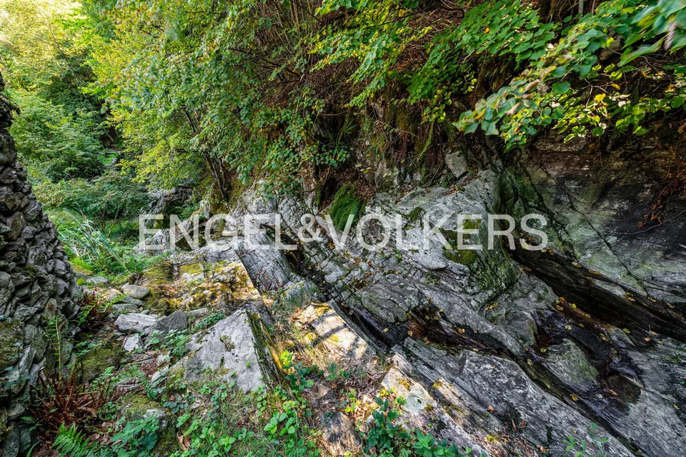 Ruhig und sonnig mitten in der Natur (18) – Foto 10 von 12