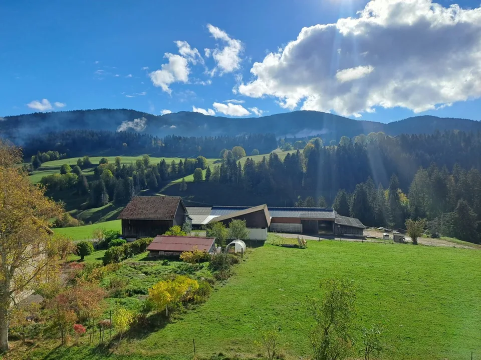 Wohnung mit 5 Zimmern in La Côte-aux-Fées – Foto 20 von 21