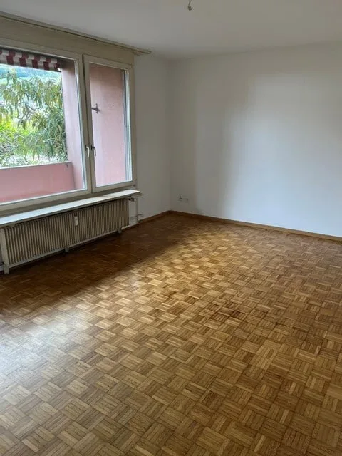 bello e spazioso appartamento di 2 camere – foto 2 di 5