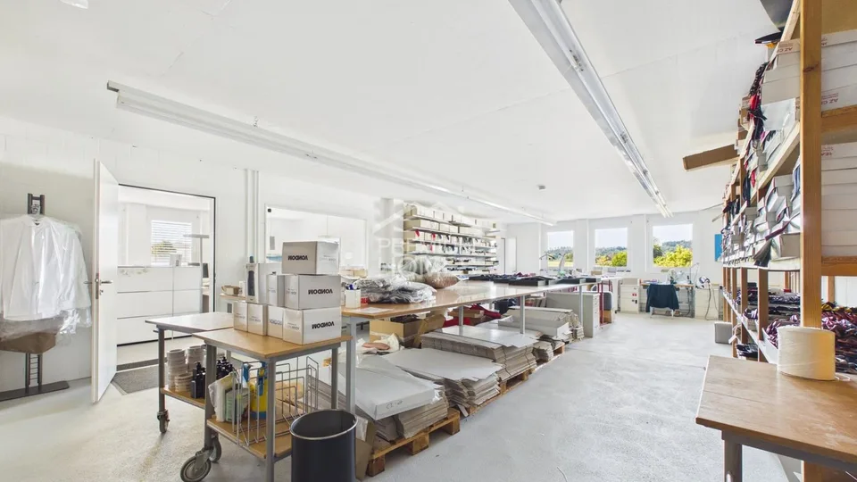 Ampio spazio per la tua idea di business - ufficio, showroom & magazzino – foto 6 di 13