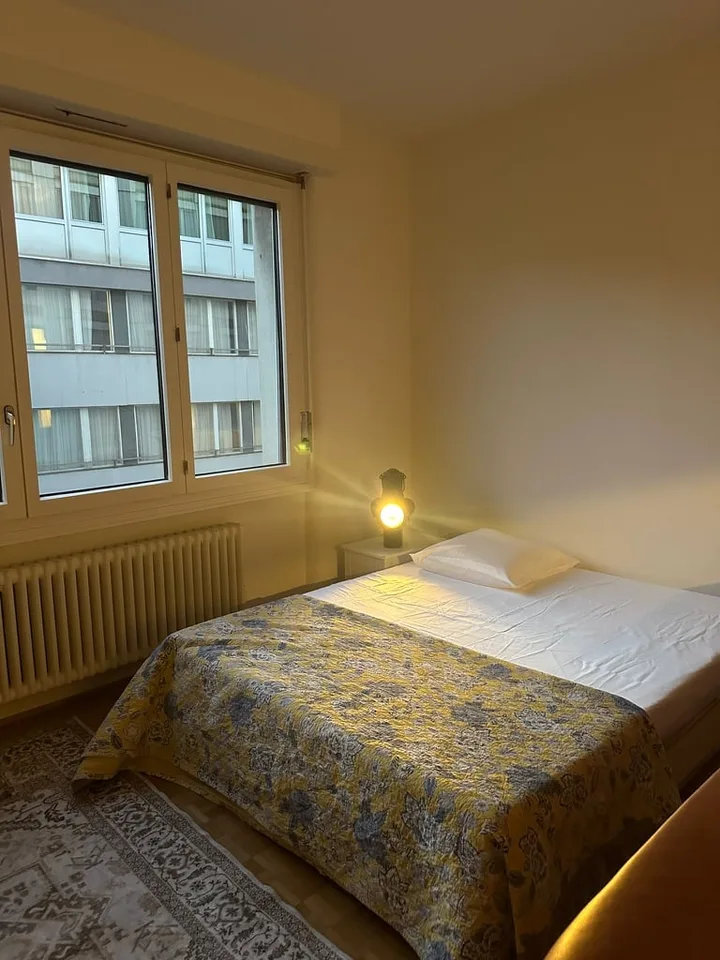 Sous-location appart 3p proche gare, ong et lac – photo 2 sur 4