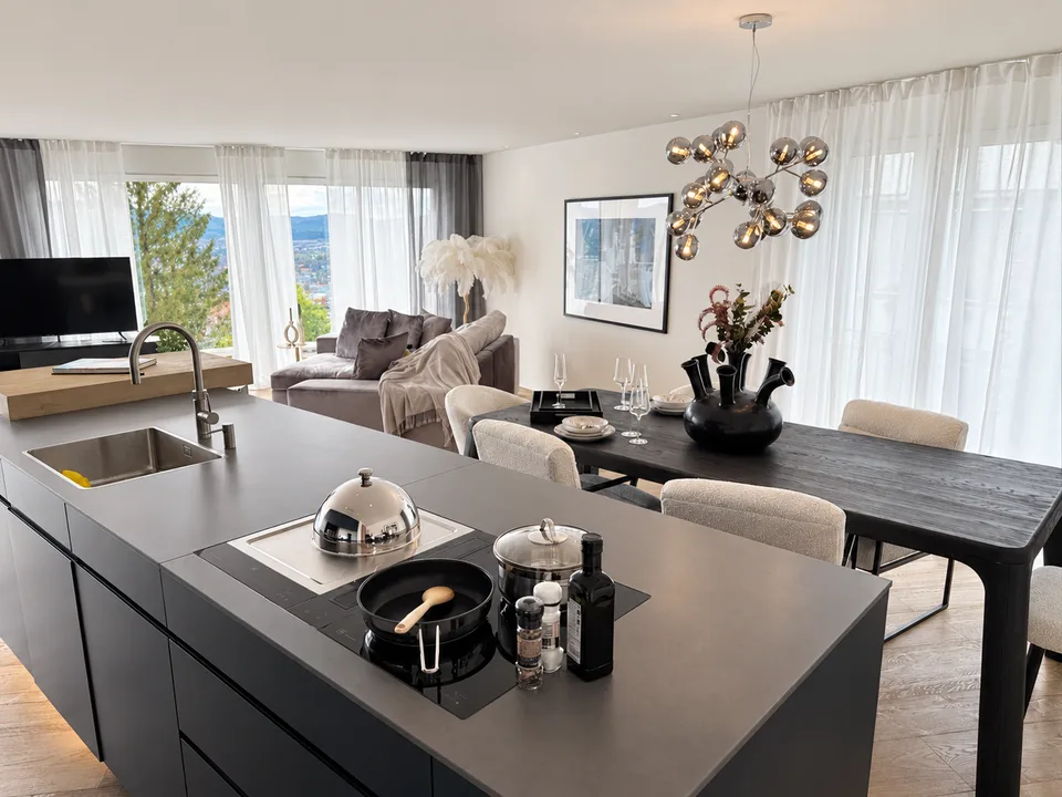 PRECIOUS PENTHOUSE LIVING – AU-DESSUS DES TOITS DE ZURICH – photo 9 sur 13