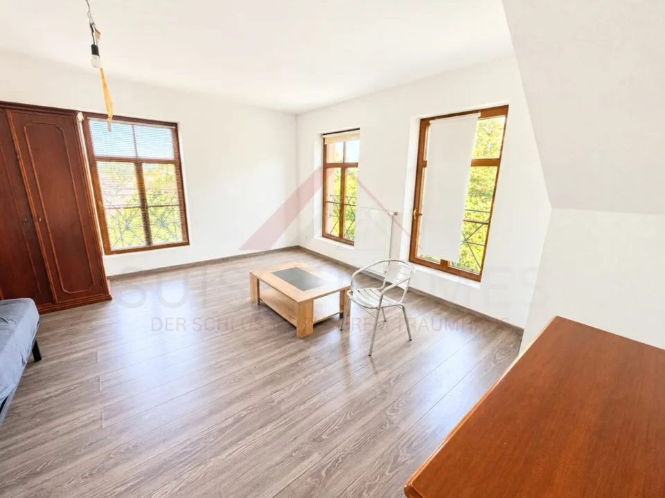 A piece of history with a future - factory ensemble with returns & development potential – photo 10 of 17
