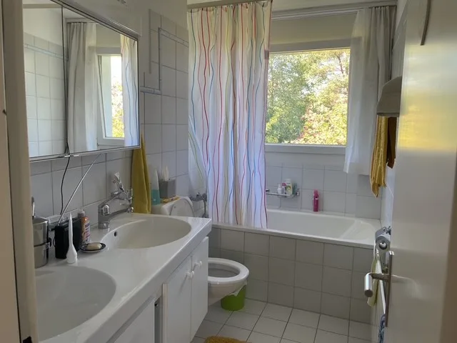 Living with a dreamy lake view from April 1, 2027 – photo 6 of 7