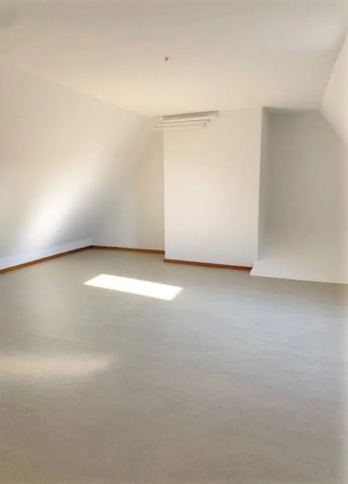Affascinante appartamento di 2.0 camere nel centro storico di Olten – foto 12 di 12