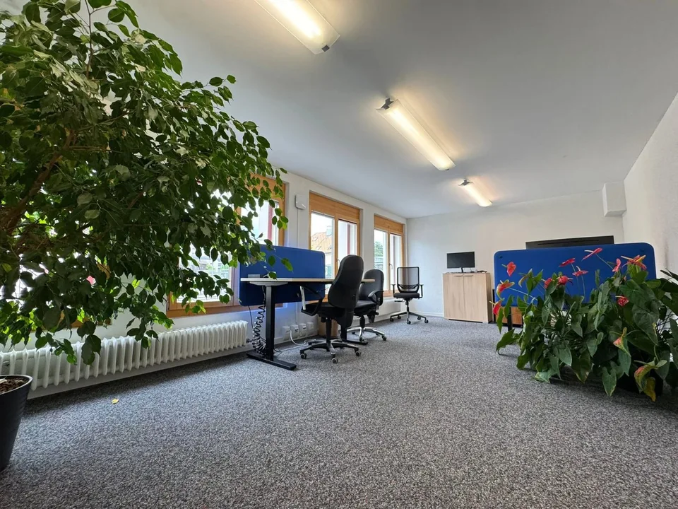 Bureaux meublés à louer – photo 7 sur 13