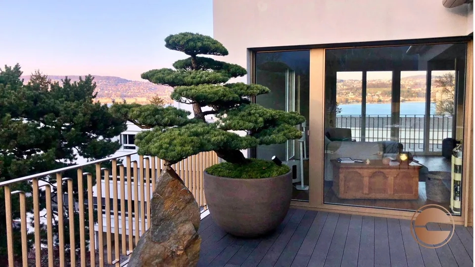EXKLUSIVE ATTIKAWOHNUNG MIT ATEMBERAUBENDER AUSSICHT / EXCLUSIVE PENTHOUSE WITH BREATHTAKING VIEWS – photo 11 sur 12
