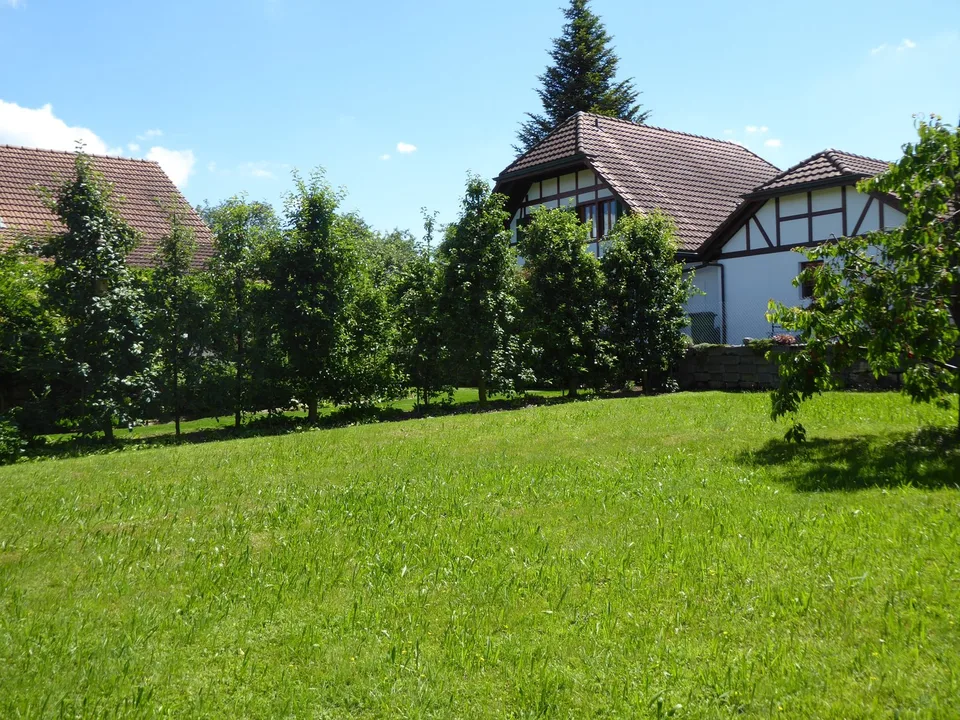 Land for building in 4558 Hersiwil – photo 4 of 5