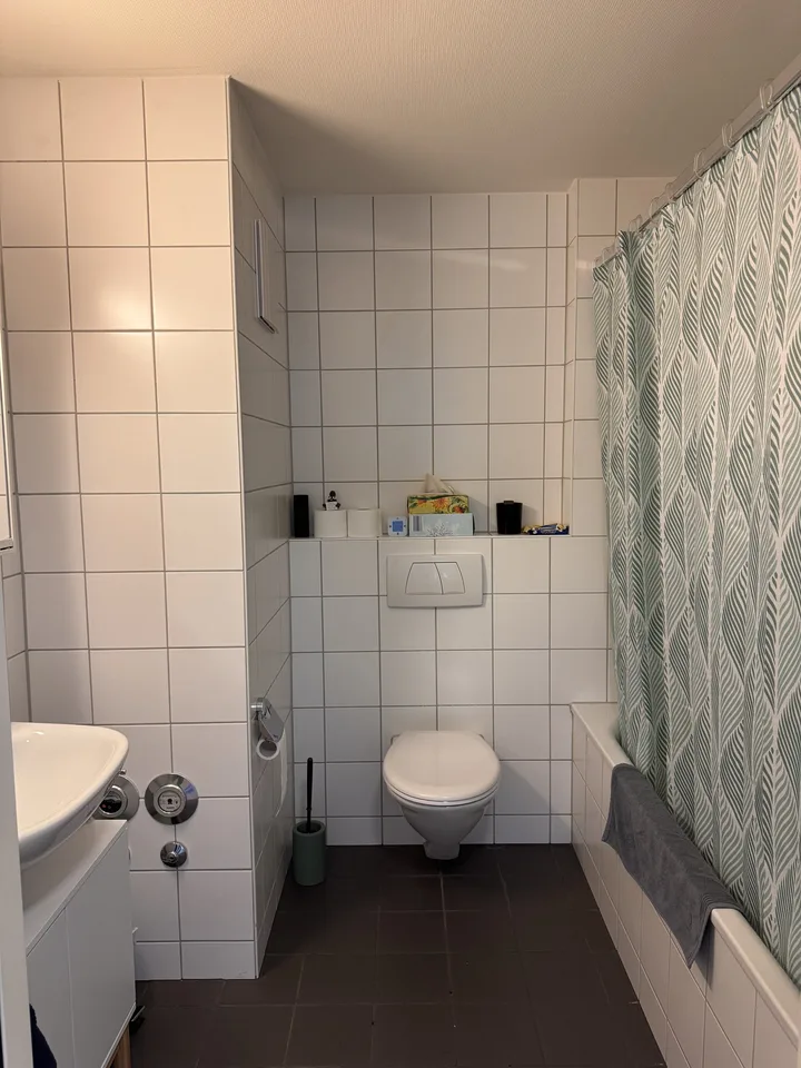 2½ ZI-WOHNUNG IN ZÜRICH - KREIS 9, MÖBLIERT, TEMPORÄR – photo 4 sur 5
