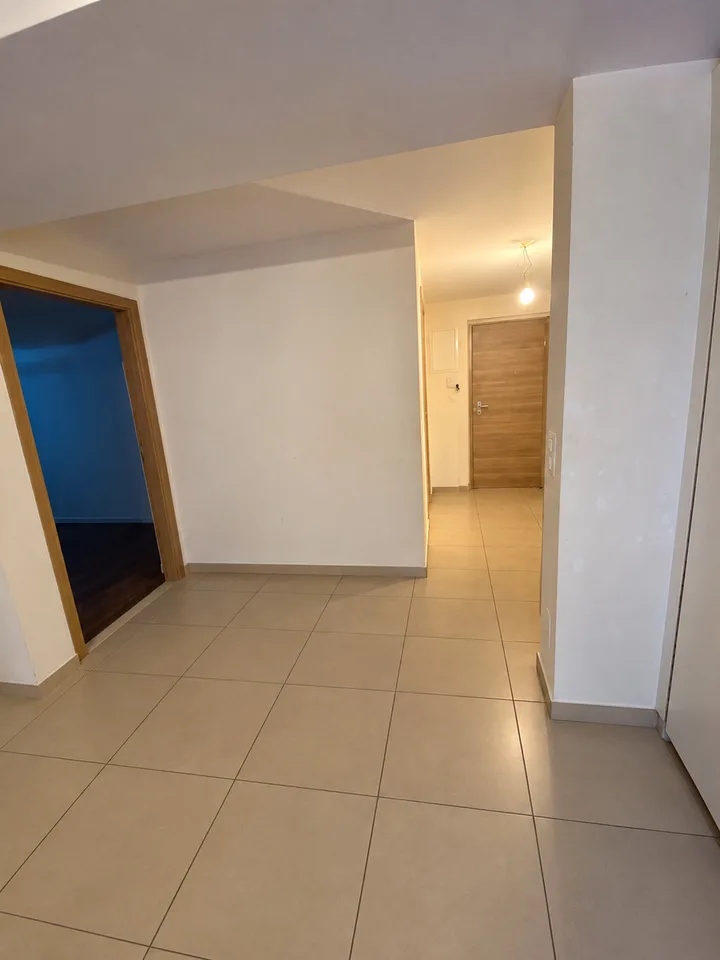 Incantevole appartamento di 2 locali con terrazza a Romont – foto 5 di 7