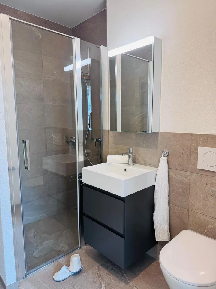 Projet de construction neuve BLYSS - Appartement meublé de 2,5 pièces charmant – photo 3 sur 5