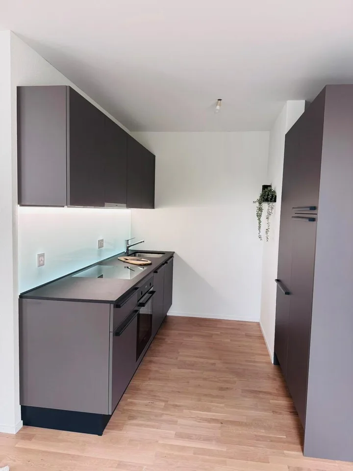Projet de construction neuve BLYSS - Appartement meublé de 2,5 pièces charmant – photo 2 sur 5