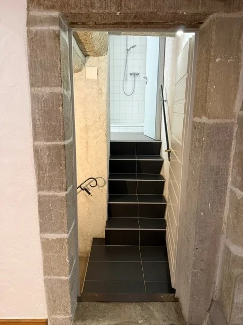 Geräumige 2-Zimmer-Wohnung in einer grünen Oase in Lausanne – Foto 5 von 9