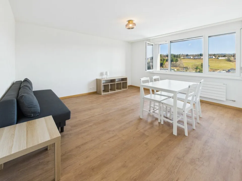 WOHNUNG MIT 2.5 ZIMMERN IN LA CHAUX-DE-FONDS RENOVIERET - ZU BESICHTIGEN! – Foto 2 von 6