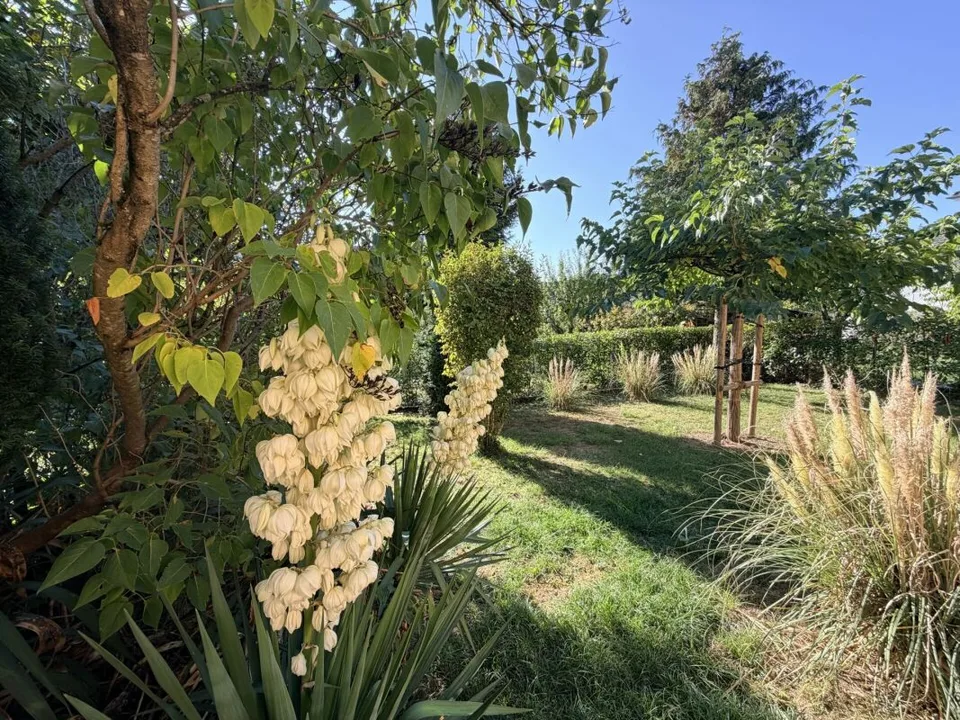 Casa unifamiliare di 5.5 locali con camino e giardino – foto 8 di 9
