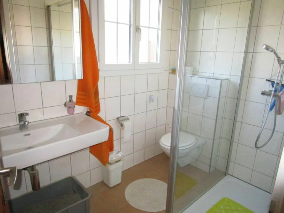 Maison de 3 familles avec ancien bâtiment de services/abri et beaucoup de potentiel – photo 9 sur 11