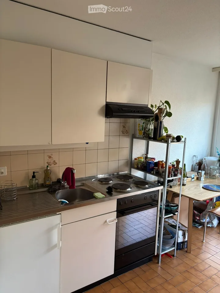 Dringend Untervermietung - schönes 1-Zimmer-Apartment in Renens – Foto 3 von 5