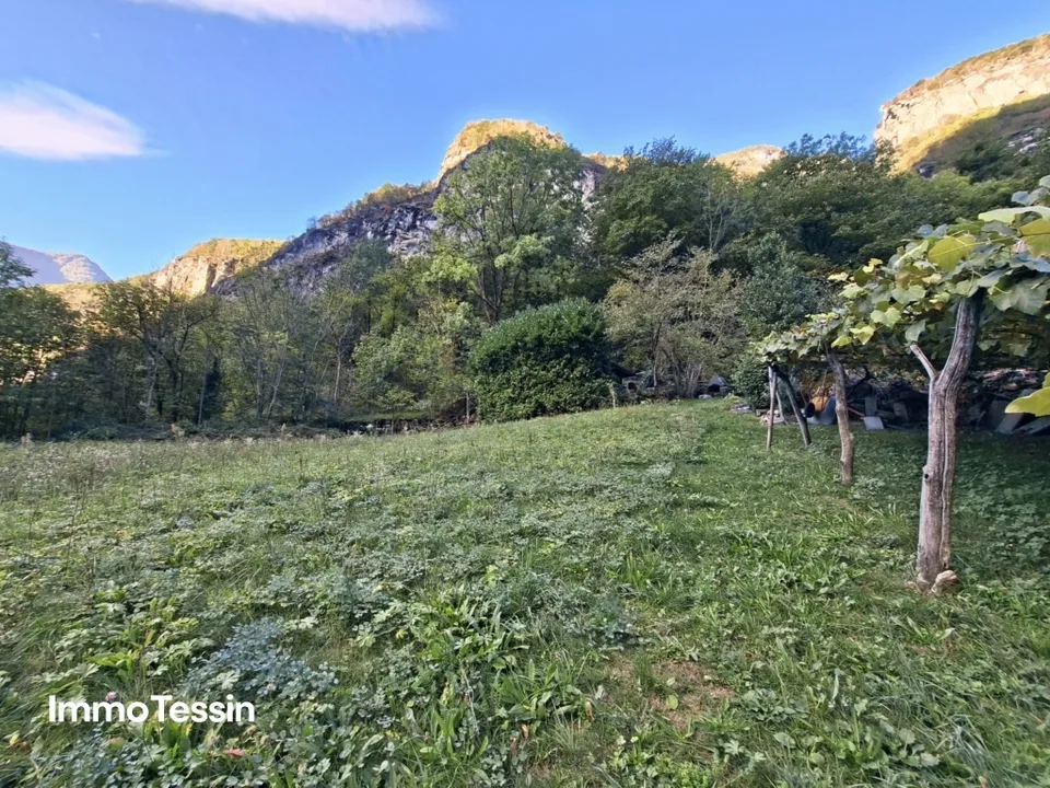 Komplett renoviertes Rustico mit charaktervollem Grottino und Landwirtschaftsland im herrlichen Maggiatal – Foto 4 von 13