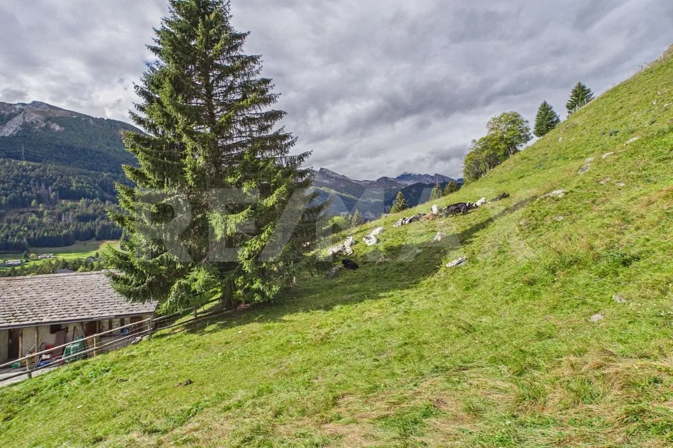 Grigioni - Terreno edificabile con vista panoramica sulle montagne – foto 2 di 2