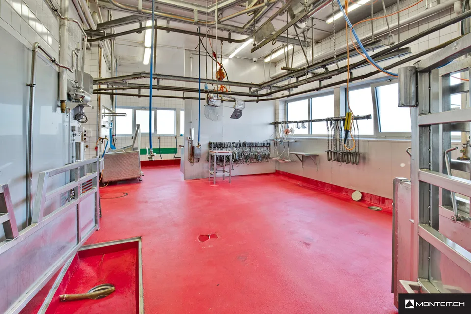 Estavayer-le-Lac, zum Verkauf, Industrie- und Handwerksgebäude von 200 m2 – Foto 6 von 10