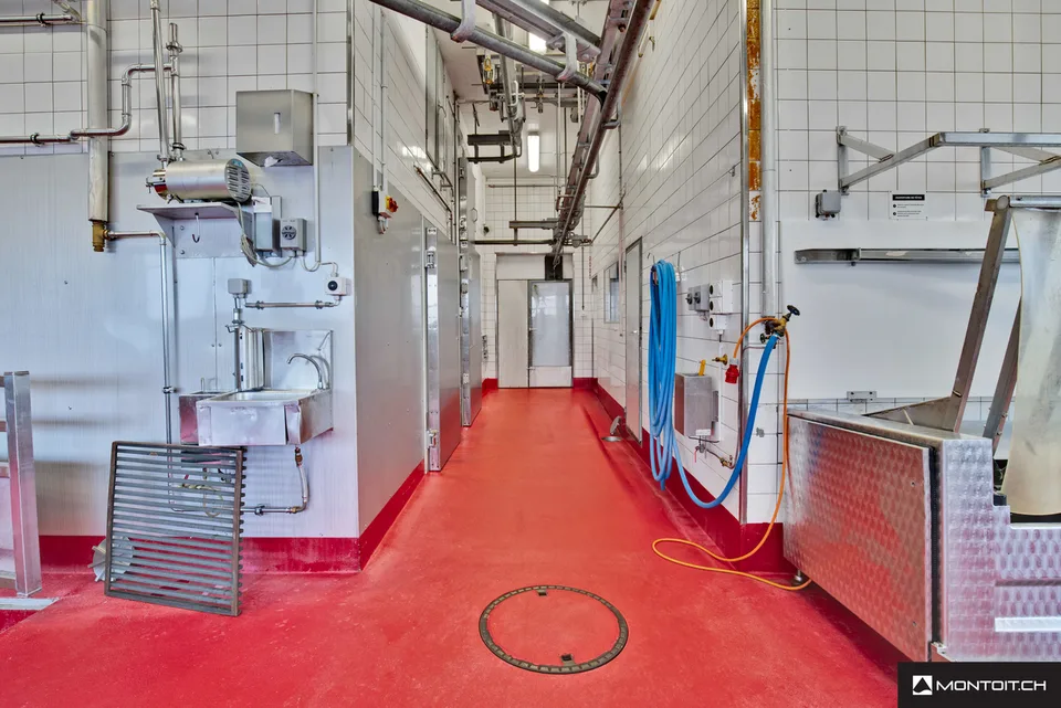 Estavayer-le-Lac, zum Verkauf, Industrie- und Handwerksgebäude von 200 m2 – Foto 4 von 10