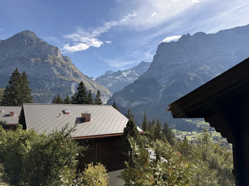 Heimelige 2½-Zimmer-Wohnung mit herrlicher Bergsicht in Grindelwald – Foto 3 von 13