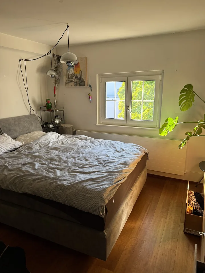 2½ ZI-WOHNUNG IN RHEINFELDEN (AG), MÖBLIERT, TEMPORÄR – Foto 3 von 4