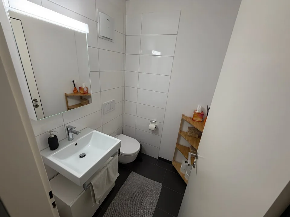 3½ ZI-WOHNUNG IN ZÜRICH - KREIS 10 HÖNGG, MÖBLIERT, TEMPORÄR – Foto 9 von 10