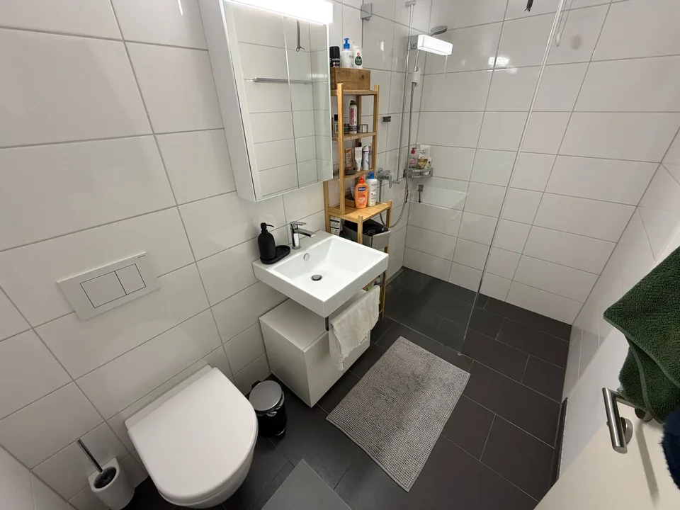 3½ ZI-WOHNUNG IN ZÜRICH - KREIS 10 HÖNGG, MÖBLIERT, TEMPORÄR – Foto 8 von 10