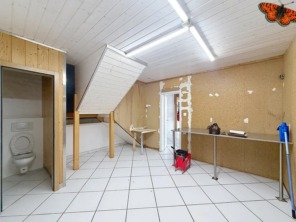 Loft avec surface commerciale au rez – photo 3 sur 9