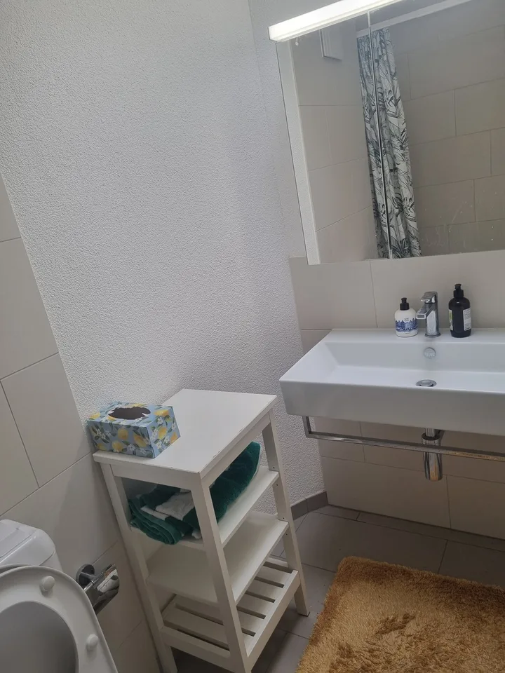 Maisonette arredata di 2.5 locali a Cham. termine fisso a settembre 2027 – foto 6 di 6