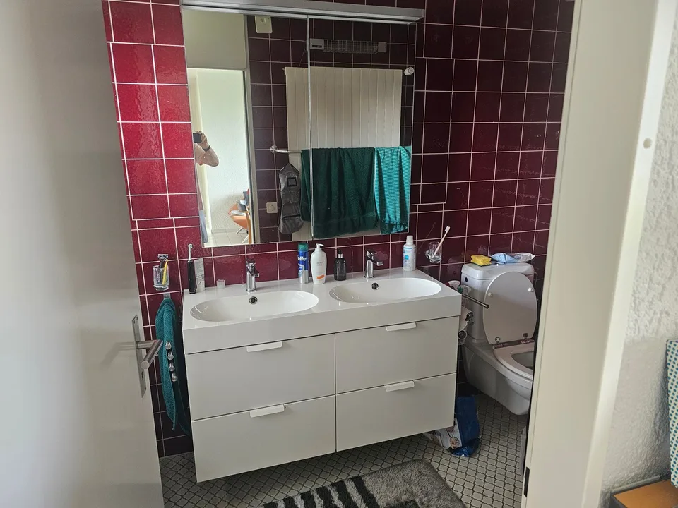 4 ZIMMER-HAUS IN FREIDORF (TG), MÖBLIERT – Foto 7 von 9